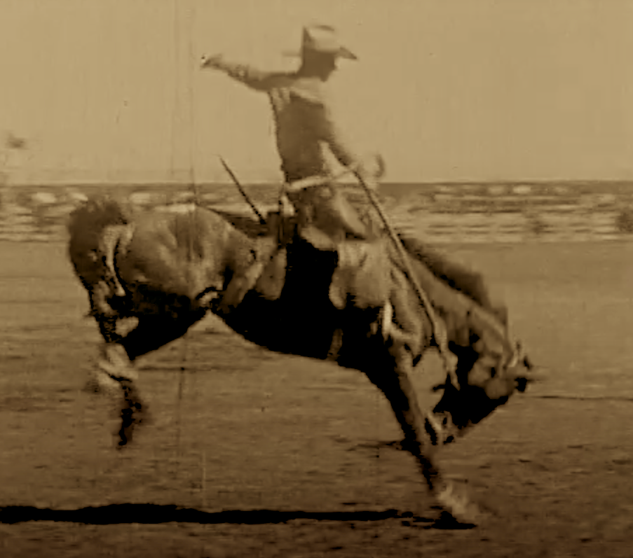 Old movie bronc