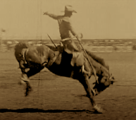 Old movie bronc